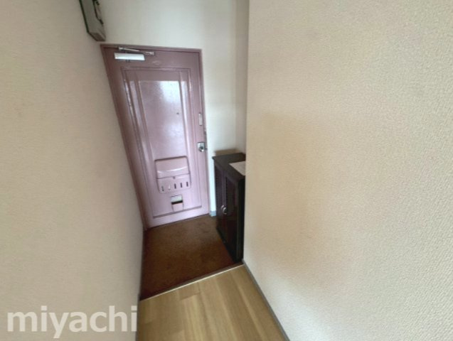 徳島市住吉３丁目の賃貸マンションの玄関