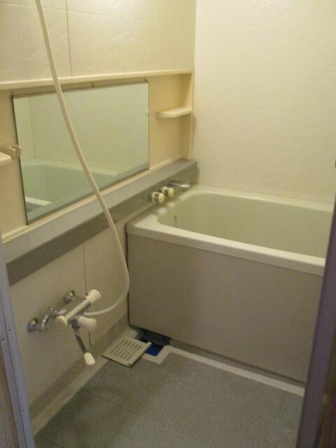 秀和溜池山王レジデンス(シュウワタメイケサンノウレジデンス)の浴室
