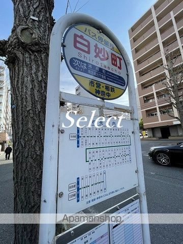 パークアクシス横浜阪東橋の周辺|白妙町 その他 228m 
