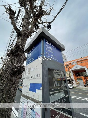ベイコート本牧の周辺|小港 その他 233m 