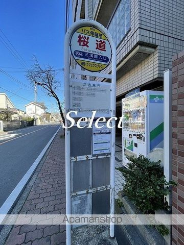 コーポカンザ本牧の周辺|桜道 その他 466m 