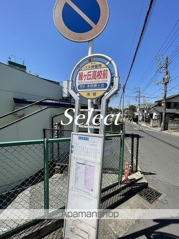 レーベン横浜山手　ＯＮＥ　ＷＡＲＤ　ＣＯＵＲＴの周辺|緑ヶ丘高校前 その他 1048m 