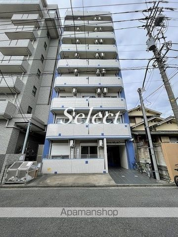 ＰＡＵＬＯＷＮＩＡ　ＶＡＬＬＥＹ　ＴＡＫＥ２　ポートサイド