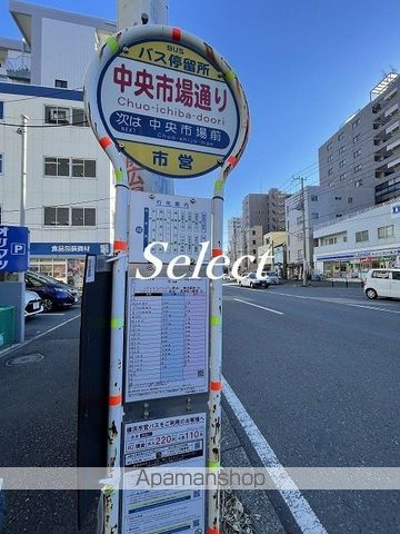 ディームス横濱青木町の周辺|中央市場通り その他 490m 