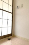 ドミール・ミモミのその他