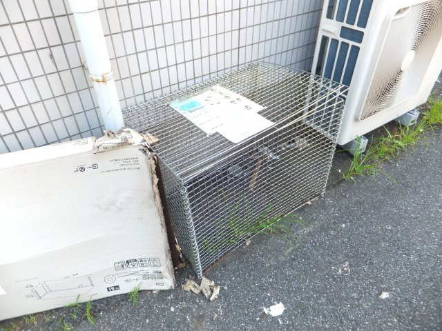 シュロス飯田Ⅱのその他|ゴミ置き場