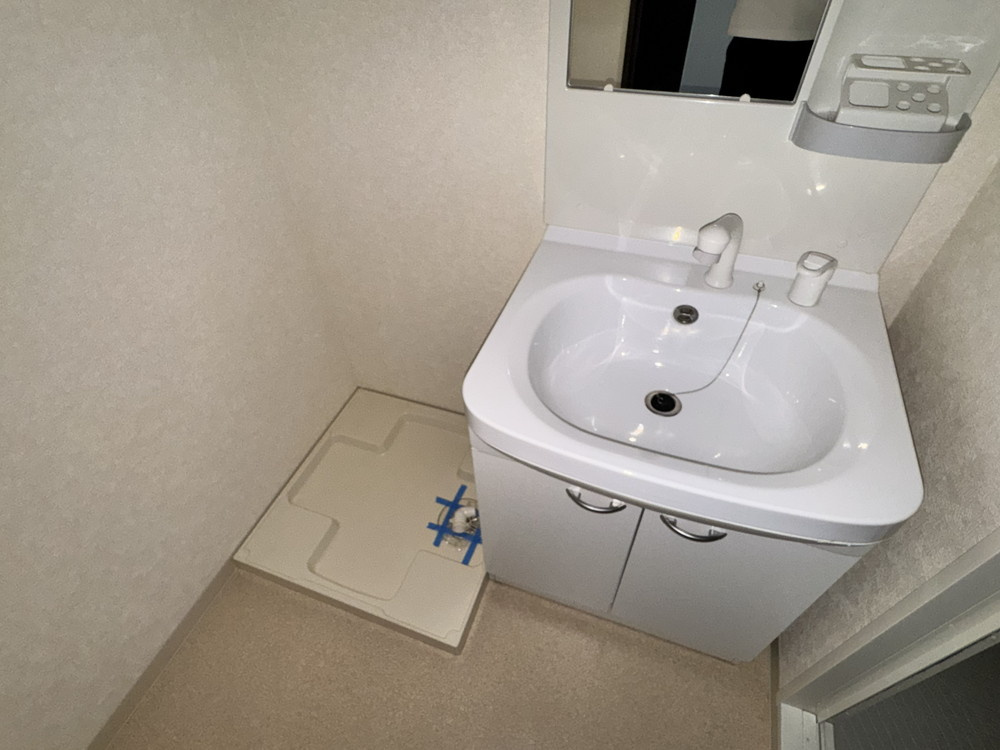 Luxe田辺の洗面所