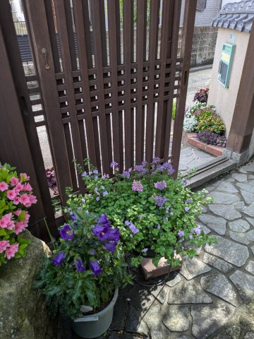 福岡市南区老司二丁目戸建の外観|外観です