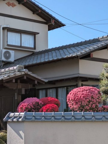 福岡市南区老司二丁目戸建の外観|外観です
