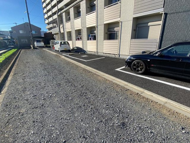 クレイノエカヒのその他