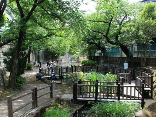 氷川つり堀公園まで626m