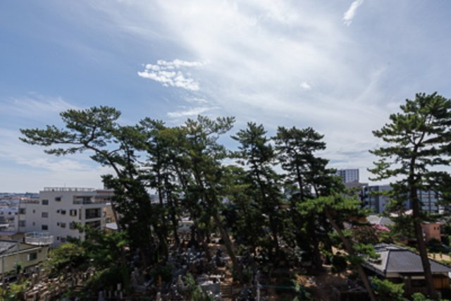 パークアクシス市川の展望