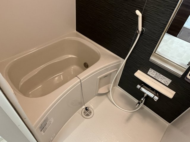 メゾンバーグソレイユの浴室