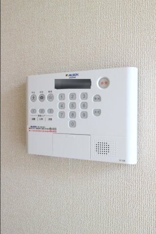 ルアナのセキュリティ