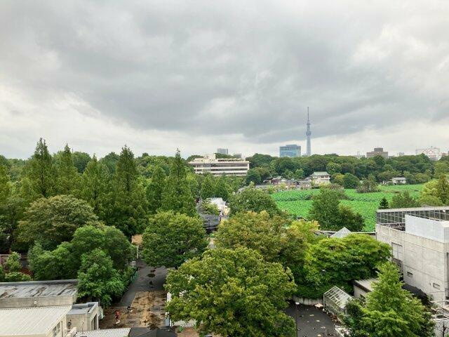 池之端パークハイツの展望