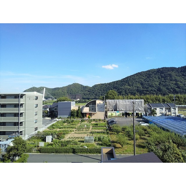 ＮＥＸＴのその他