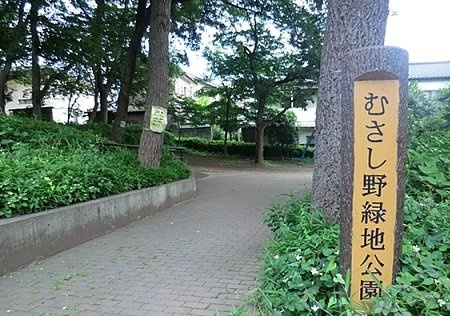 イ－スト　ゼファ－の周辺|むさし野緑地公園まで950m