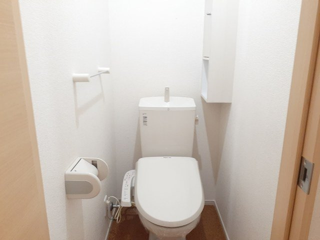 メゾン　ドリカムⅡのトイレ