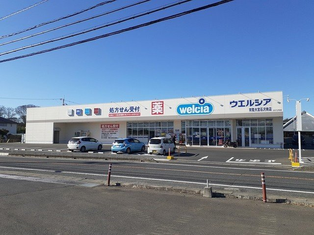 メゾン・ビートルの周辺|ウエルシア常陸大宮石沢店まで898m