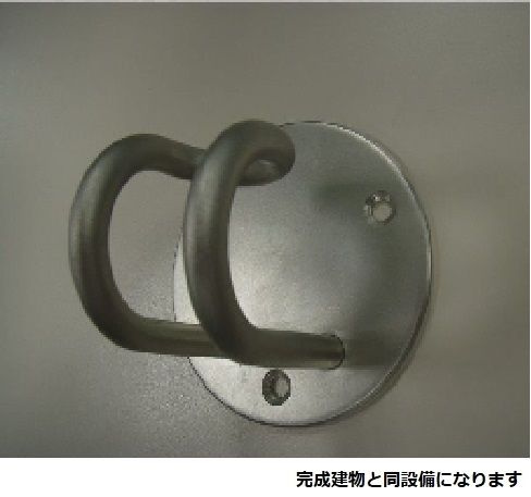 フェリーチェ　Ⅷのその他