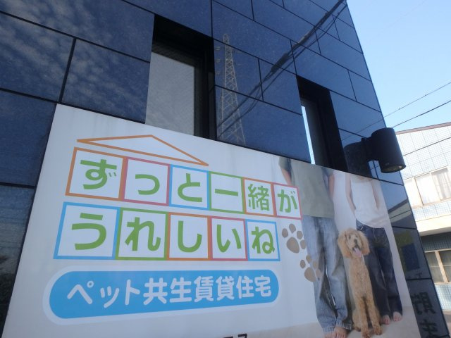 アメジスト・セラのその他