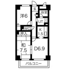 グレース堀田の画像