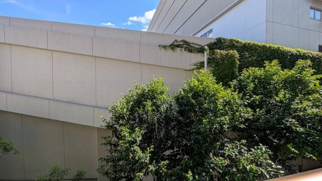 ライオンズマンシヨン新宿五丁目(ライオンズマンションシンジュクゴチョウメ)のその他