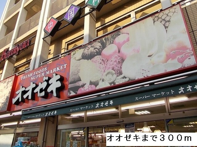 ウィル　アヴェニューの周辺|オオゼキまで300m