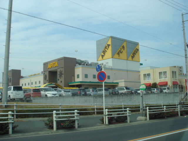 ブルーテラスⅡの周辺|アピタ東海荒尾店ドラッグストアまで830ｍ