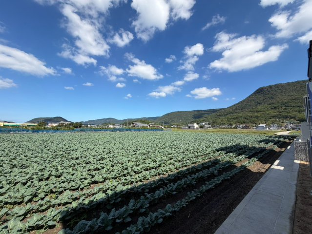 坂出市加茂町　田園風景と山の景色がきれいな新築戸建　４LDKの展望