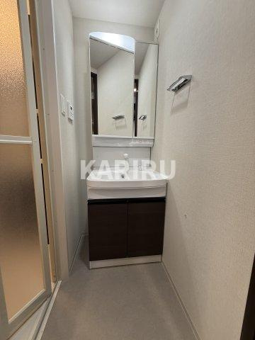 ArtizA都島の洗面所