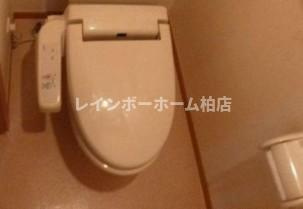 特典：仲介手数料が50％OFFです‼のトイレ