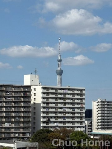 小松川パークマンション弐号棟の展望|スカイツリーが望めます