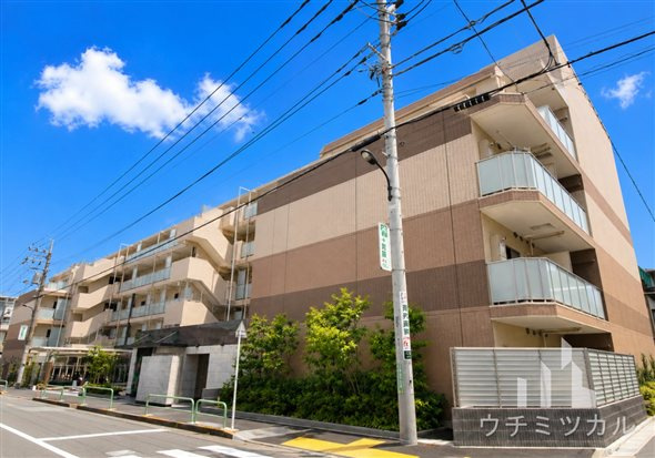 練馬区中村南２丁目の賃貸マンションの外観|外観