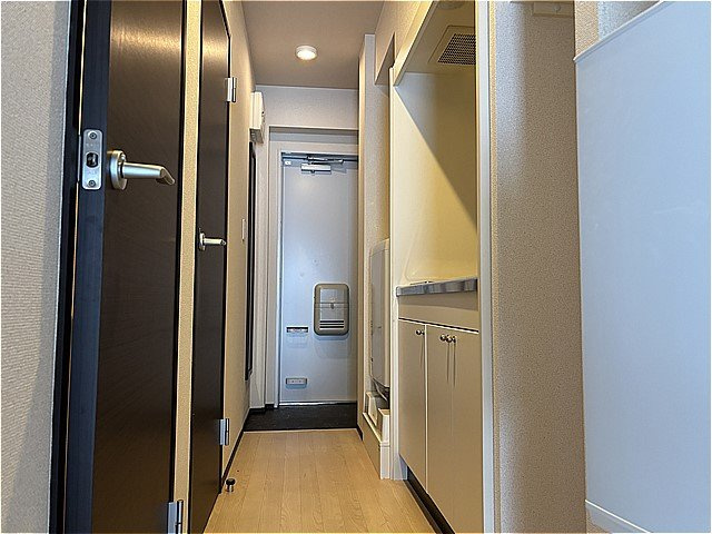 落ち着いた玄関です