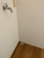 室内洗濯機置き場