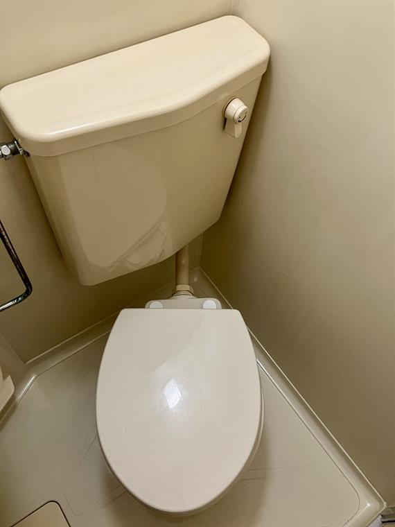 落ち着いた色調のトイレです