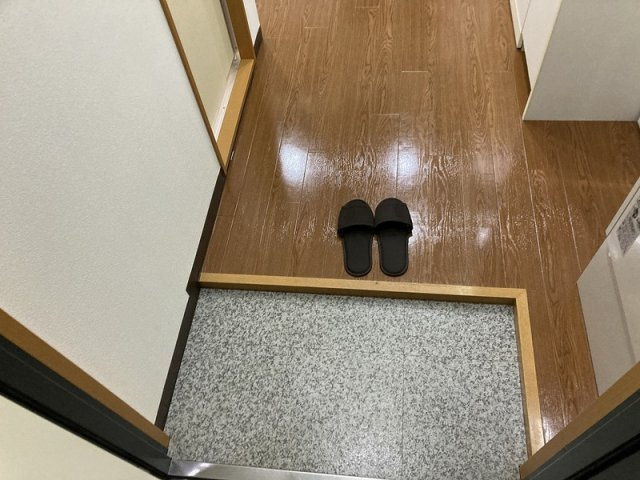 ダイヤモンドレジデンス西神田の玄関|玄関