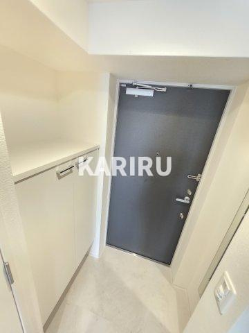 セレニテ蒲生四丁目駅前アリエの玄関|階数・部屋によってカラーパターン有（カームブルー・ヘリンボーン・マーブルグレー）