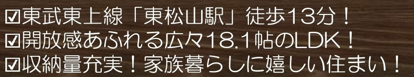 【仲介手数料無料】新築戸建　東松山市松本町1-2-6付近の構造・工法・仕様