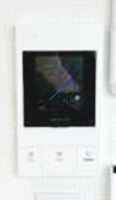 ｎｅｘｕｓ・Ｒｉｏのその他