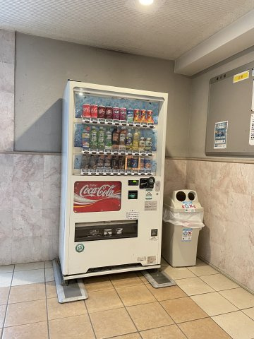 スカイコート・ヴィーダ五反田ウエストのその他共用部分