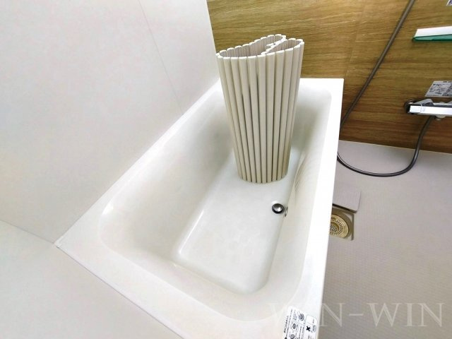 エスベランサ Ⅴの浴室