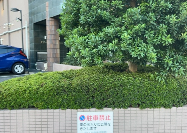 【庭】 | グリーンコーポ本厚木 | 敷地内の植栽スペースや共有の緑地環境です。緑の潤いを感じられる空間となっており、住まいの周辺に心安らぐ風景を提供します。丁寧に維持管理されており、快適なマンションライフを彩る要素となっています。