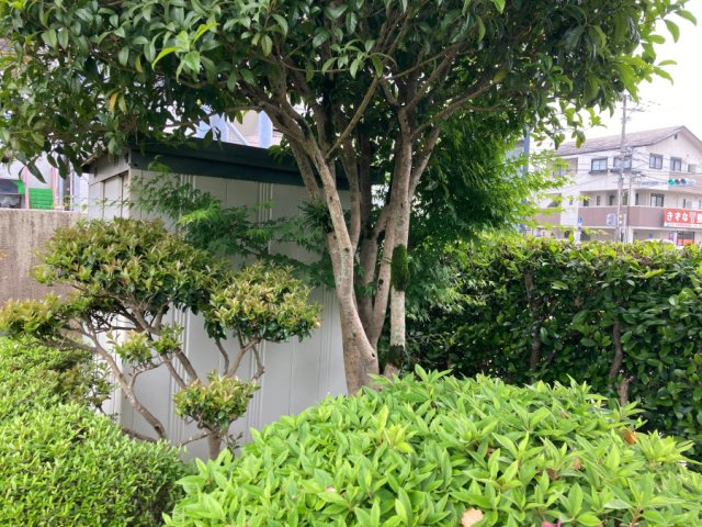 矢の先町の外観