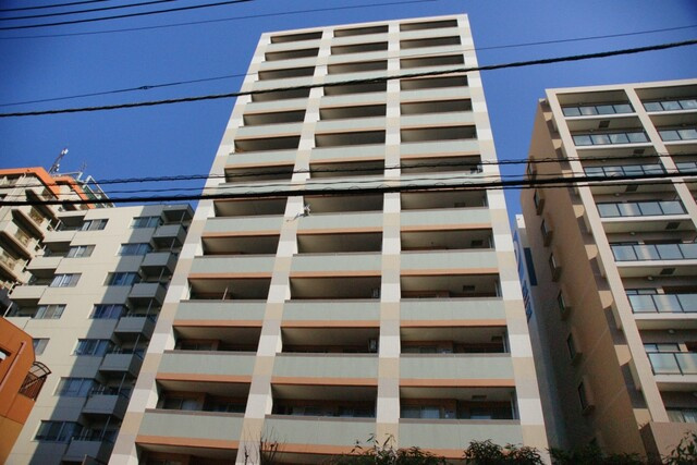 ライオンズシティ練馬の外観|ライオンズシティ練馬：ペット飼育可能！