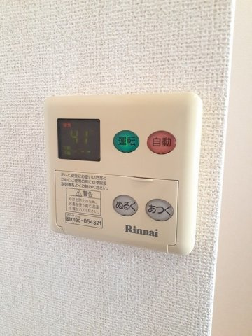 シャン・ミリュー　ⅠＡのその他