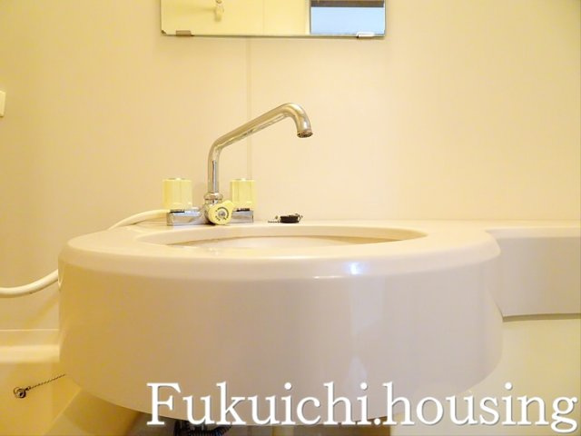 ロイヤルハイムAの洗面所