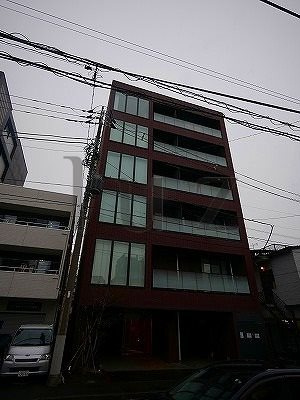 カエデの外観