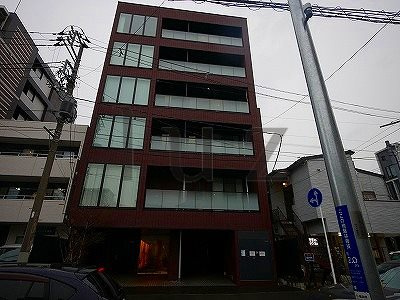 カエデの外観